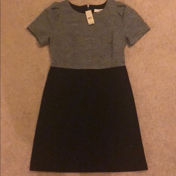 LOFT Dresses & Skirts - NWT Ann Taylor Loft Grey and Black Sheath Dress 2P